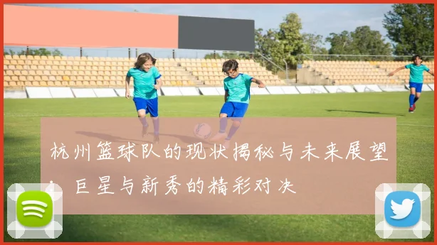 杭州篮球队的现状揭秘与未来展望：巨星与新秀的精彩对决