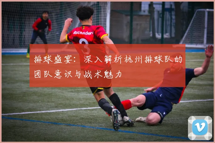 排球盛宴：深入解析杭州排球队的团队意识与战术魅力