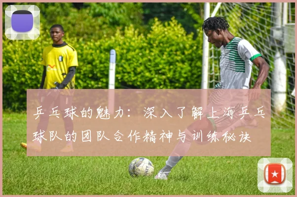 乒乓球的魅力：深入了解上海乒乓球队的团队合作精神与训练秘诀