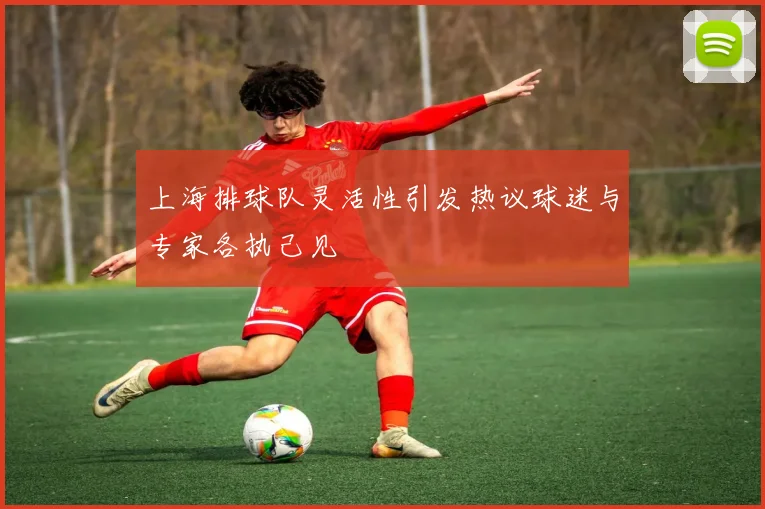 上海排球队灵活性引发热议球迷与专家各执己见