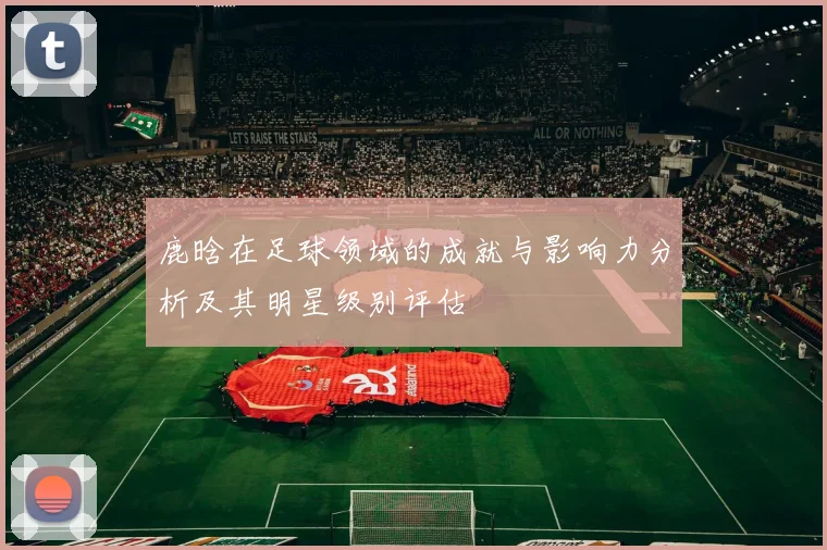 鹿晗在足球领域的成就与影响力分析及其明星级别评估
