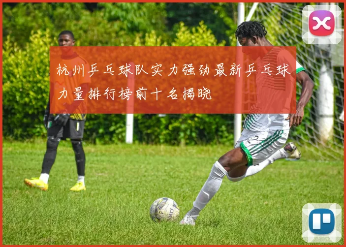 杭州乒乓球队实力强劲最新乒乓球力量排行榜前十名揭晓