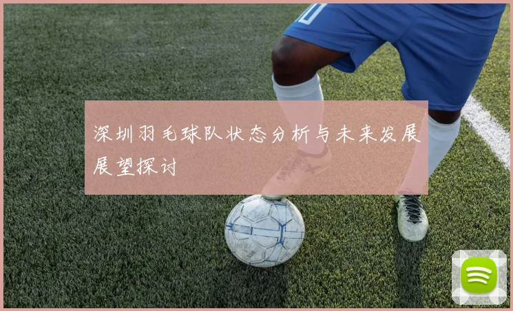 深圳羽毛球队状态分析与未来发展展望探讨