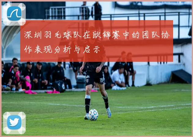 深圳羽毛球队在欧锦赛中的团队协作表现分析与启示