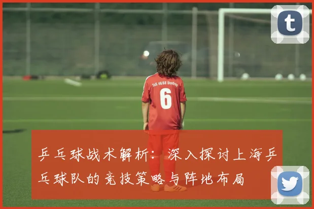 乒乓球战术解析：深入探讨上海乒乓球队的竞技策略与阵地布局