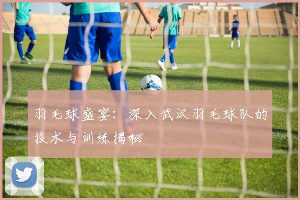 羽毛球盛宴：深入武汉羽毛球队的技术与训练揭秘