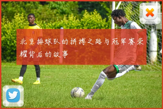 北京排球队的拼搏之路与冠军赛荣耀背后的故事