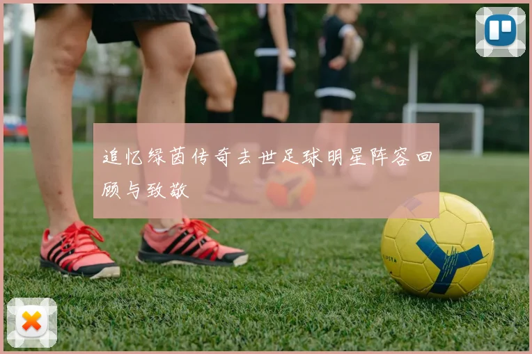 追忆绿茵传奇去世足球明星阵容回顾与致敬