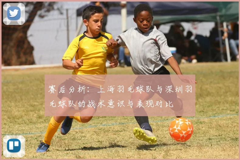 赛后分析：上海羽毛球队与深圳羽毛球队的战术意识与表现对比