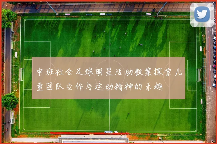 中班社会足球明星活动教案探索儿童团队合作与运动精神的乐趣