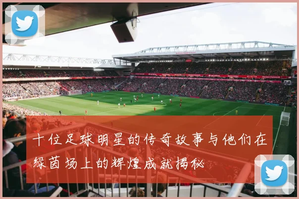十位足球明星的传奇故事与他们在绿茵场上的辉煌成就揭秘