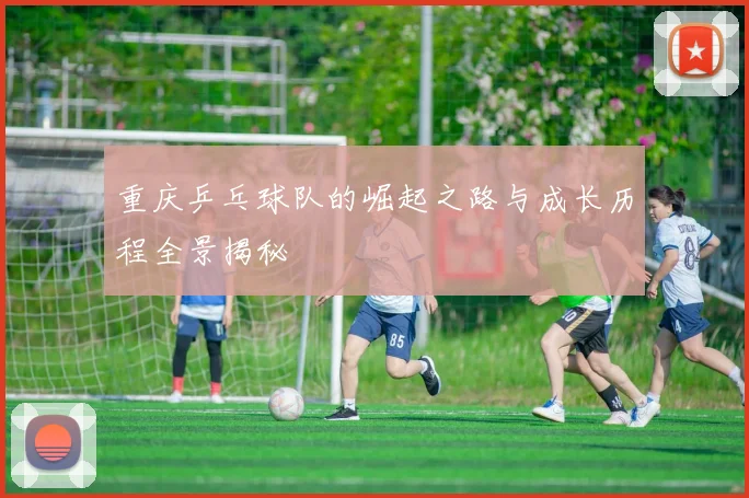 重庆乒乓球队的崛起之路与成长历程全景揭秘